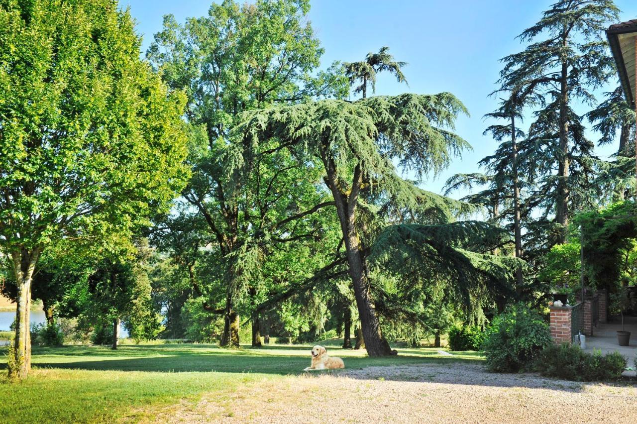 Clos Saint-Blaise Albi Exteriör bild